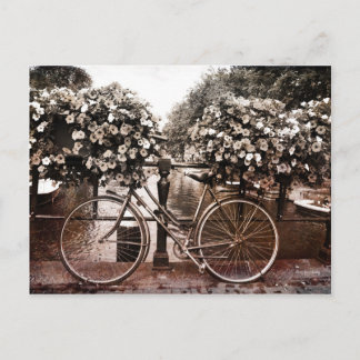 Nur in Amsterdam Postkarte