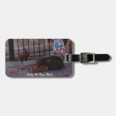 "Nur in Key West" Gepäckanhänger für Katzen- und R (Vorderseite horizontal)