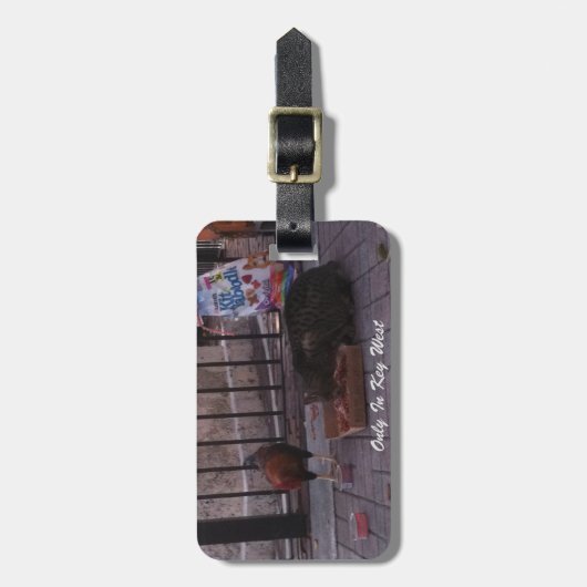 "Nur in Key West" Gepäckanhänger für Katzen- und R (Vorderseite vertikal)