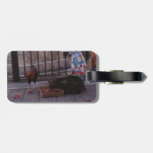 "Nur in Key West" Gepäckanhänger für Katzen- und R (Rückseite horizontal)