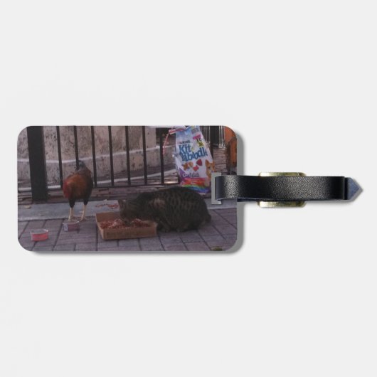 "Nur in Key West" Gepäckanhänger für Katzen- und R (Rückseite horizontal)