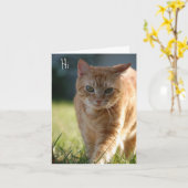 Nur Karte (Gelbe Blume)