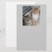 Nur Kätzchen Briefpapier (Vorne/Hinten)