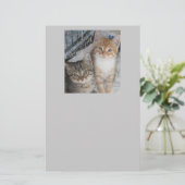 Nur Kätzchen Briefpapier (Stehend Vorderseite)