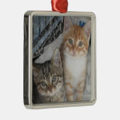 Nur Kätzchen Silbernes Ornament (Rechts)
