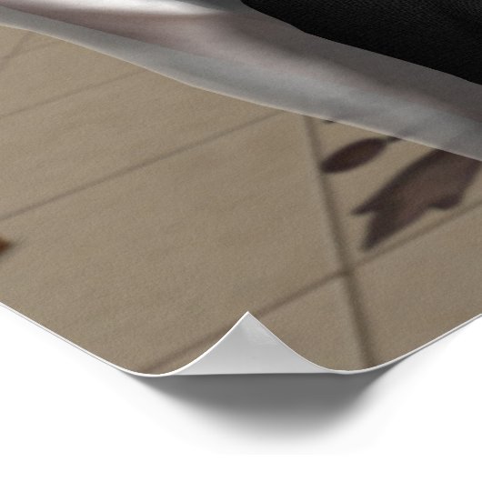 Nur Männer Poster (Ecke)