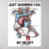 Nur mein Herz zeigen (Herzanatomie) Poster (Vorne)