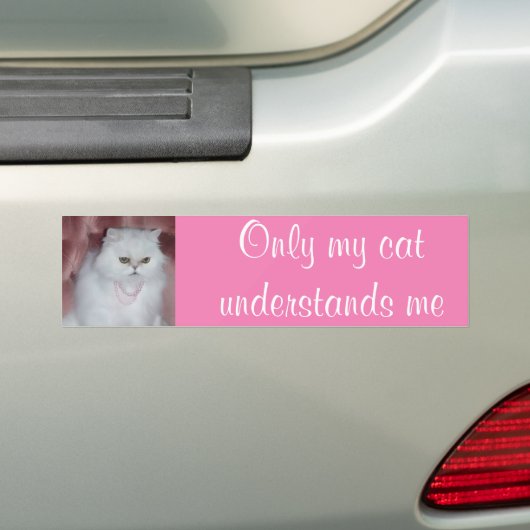 Nur meine Katze versteht mich Autoaufkleber-Perser Autoaufkleber (Auf Auto)