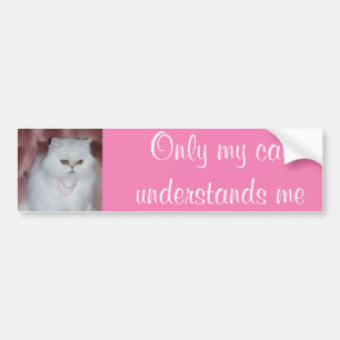 Nur meine Katze versteht mich Autoaufkleber-Perser Autoaufkleber