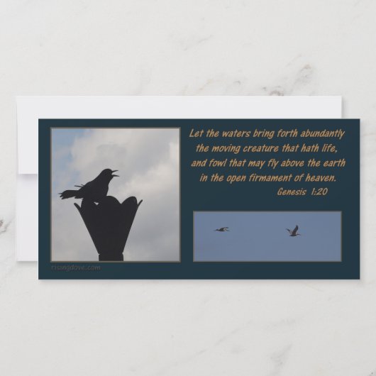 Nur Miriam 2019-Karte (Rückseite)