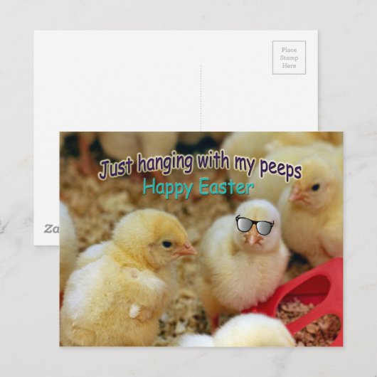 Nur mit meinen Pieps Postkarte (Vorne/Hinten)