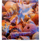 Nur Muscheln Duschvorhang (Vorderseite)