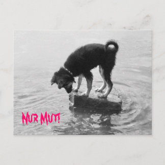 Nur Mut! Postkarte