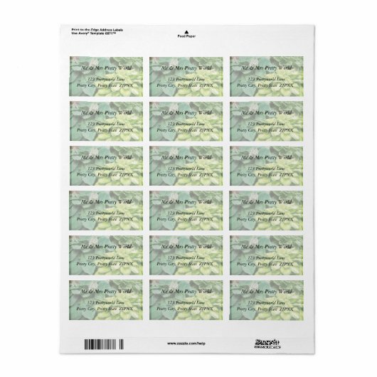 Nur noch ein Hosta! Adressaufkleber (Vorne)