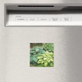 Nur noch ein Hosta! Magnet (In Situ (Geschirrspüler))