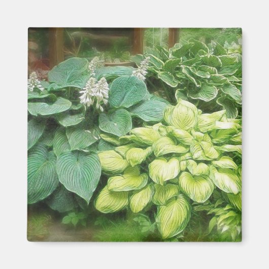 Nur noch ein Hosta! Magnet (Vorne)