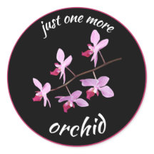 Nur noch ein Orchid