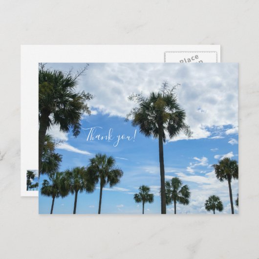 Nur Palmen Vielen Dank Postcard Postkarte (Vorne/Hinten)