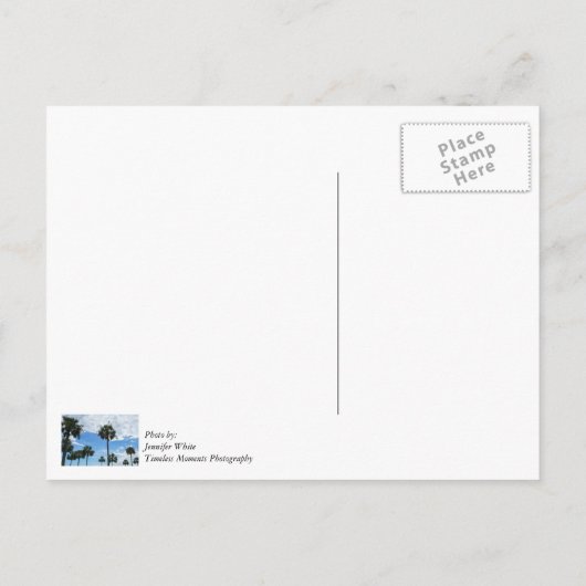 Nur Palmen Vielen Dank Postcard Postkarte (Rückseite)