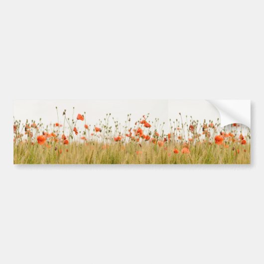Nur Poppies | Hübsches florales Foto Autoaufkleber (Vorne)