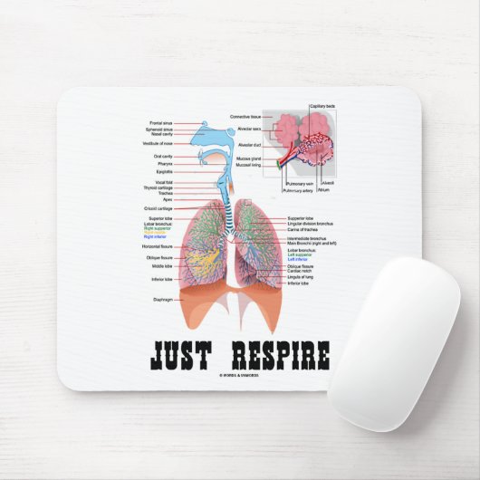 Nur Respekt Mousepad (Mit Mouse)