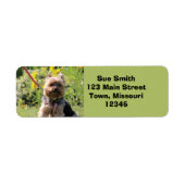 Nur schlichter Liebling (Vorne)