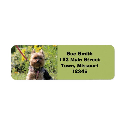 Nur schlichter Liebling (Vorne)