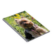 Nur schlichter Liebling Notizblock (Rechte Seite)