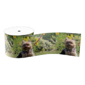 Nur schlichter Liebling Ripsband (Spule)