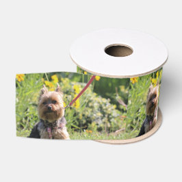 Nur schlichter Liebling Ripsband