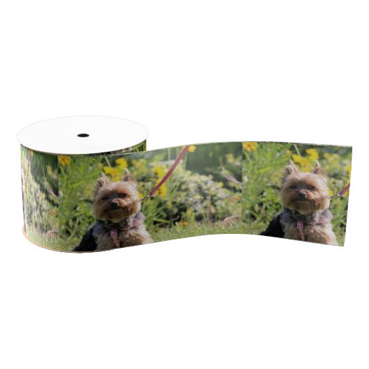 Nur schlichter Liebling Ripsband (Spule)