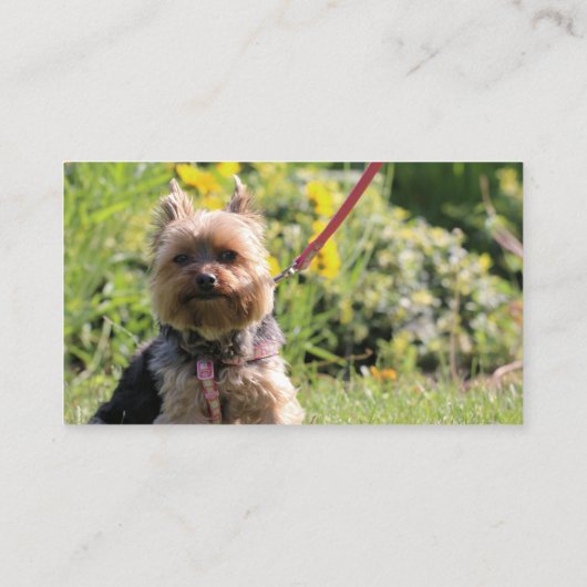 Nur schlichter Liebling Visitenkarte (Rückseite)