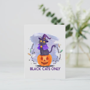 Nur schwarze Katzen - Hexenkatze auf Jack-O’-Later Postkarte
