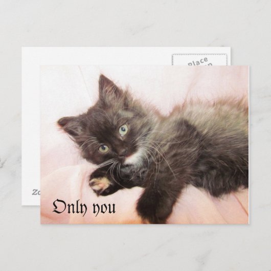 Nur Sie Postkarte (Vorne/Hinten)