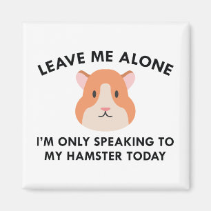 Nur, sprechend mit meinem Hamster Magnet