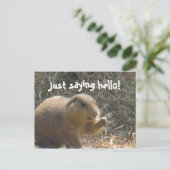 Nur Sprichwort Hallo! Prairie Dog Postcard Postkarte (Stehend Vorderseite)