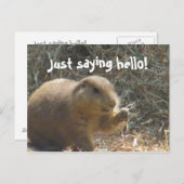 Nur Sprichwort Hallo! Prairie Dog Postcard Postkarte (Vorne/Hinten)