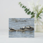 Nur Sprichwort Hi, Niedliche Schildkröten Sonnenba Postkarte (Stehend Vorderseite)