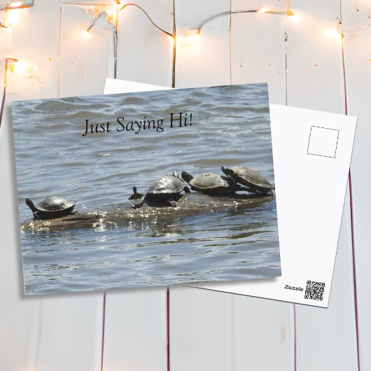 Nur Sprichwort Hi, Niedliche Schildkröten Sonnenba Postkarte