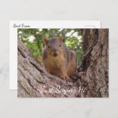 Nur Sprichwort Hi, Niedliches Eichhörnchen in Bäum Postkarte (Vorne/Hinten)