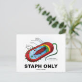 Nur Staph (Bacteria Health Medicine Spaß) Postkarte (Stehend Vorderseite)