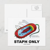 Nur Staph (Bacteria Health Medicine Spaß) Postkarte (Vorne/Hinten)