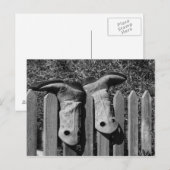 Nur Stiefel Postkarte (Vorne/Hinten)