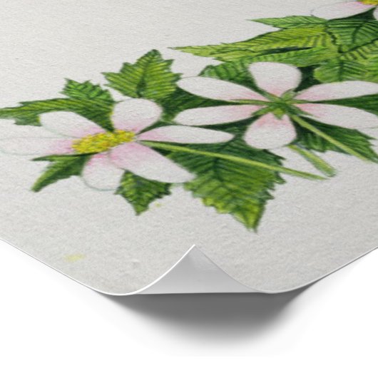 Nur suchen poster (Ecke)