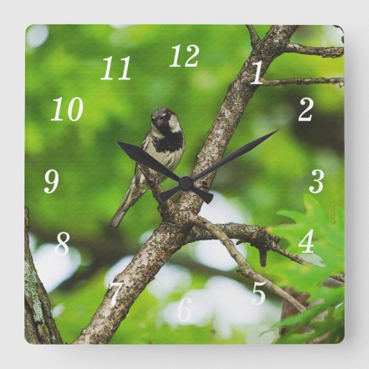 Nur um die Uhr sitzen (Vorderseite)