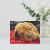 Nur um zu sagen ... postkarte (Stehend Vorderseite)