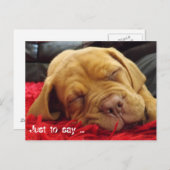 Nur um zu sagen ... postkarte (Vorne/Hinten)