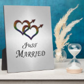 Nur verheirateter Gay Pride, der Geschlechtersymbo Fotoplatte (Seite)