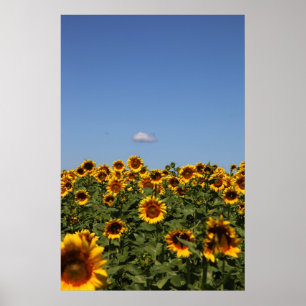 Nur vorbei poster