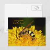 Nur weil Hallo Postkarte (Vorne/Hinten)